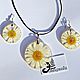 Set Chamomile meadow (real chamomile in jewelry resin), Jewelry Sets, Vitebsk,  Фото №1