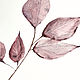 Order 'Marsala ' watercolor painting (leaves, botany). Nadezda Perova. Livemaster. . Pictures Фото №3