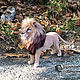 Just a King / Lion felted from wool / Lion. Felted Toy. Woolen Zoo. Online shopping on My Livemaster.  Фото №2