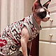 Clothing for cats 'La Moore', Pet clothes, Biisk,  Фото №1