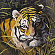 Oil painting tiger. Picture. Tiger oil. Cats cat. Painting, Pictures, Samara,  Фото №1