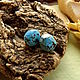Poussettes with turquoise, Earrings, Ekaterinburg,  Фото №1