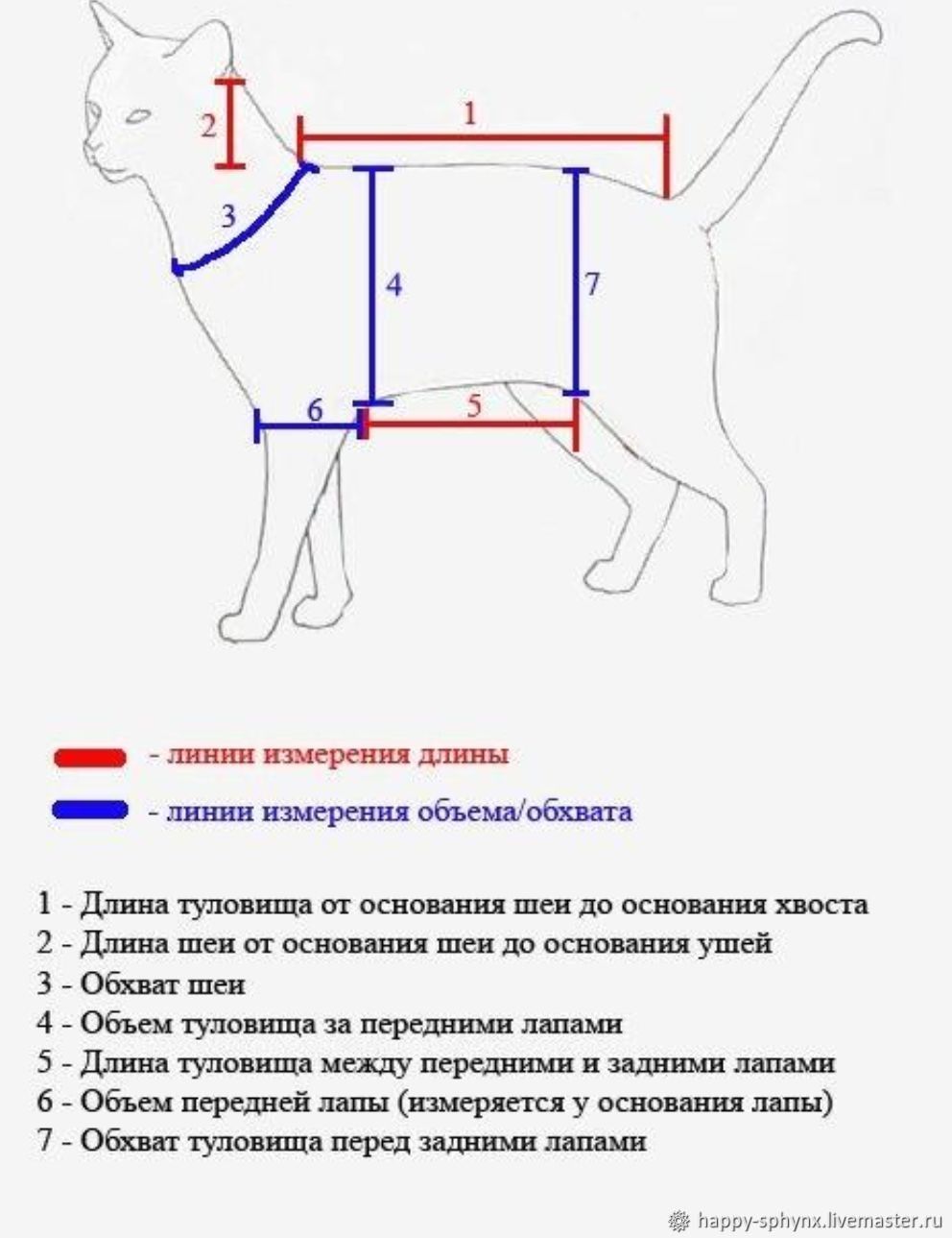 Таблицы размеров