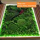  Стабилизированный мох - панно. Элементы интерьера. Brus Decor. Ярмарка Мастеров.  Фото №4