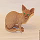 Sphinx cat'Ramses the second'(repeats do not), Stuffed Toys, Moscow,  Фото №1