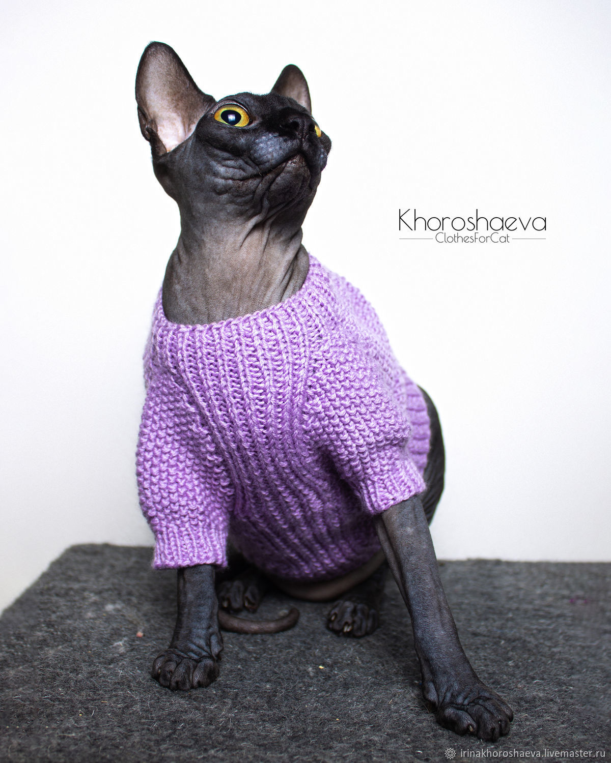 свитер для кошки
