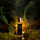  Ignis fatum Incarna parfums, Духи, Санкт-Петербург,  Фото №1