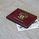 Cover of the official ID card. ID card case. The Prosecutor's office, Cover, Abrau-Durso,  Фото №1