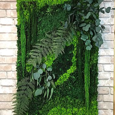 Как самому сделать живую зеленую стену из мха и растений
