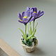 Miniature 'the Crocus - the baby in the snow'. Gift on March 8!. Model. FLOWERRINA (flowerina). My Livemaster. Фото №6