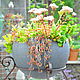 Шар-вазон для растений с разными отверстиями для сада. Клумба. A Z O V • G A R D E N. Ярмарка Мастеров.  Фото №5