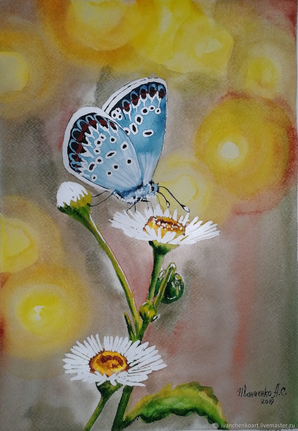 Бабочки акварелью картины