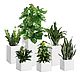 Outdoor plant pots direct, Pots1, Moscow,  Фото №1