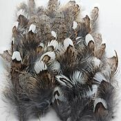 Перо Цесарка. 22 перьев набор не крупных. Натуральный цвет. Перо ловца