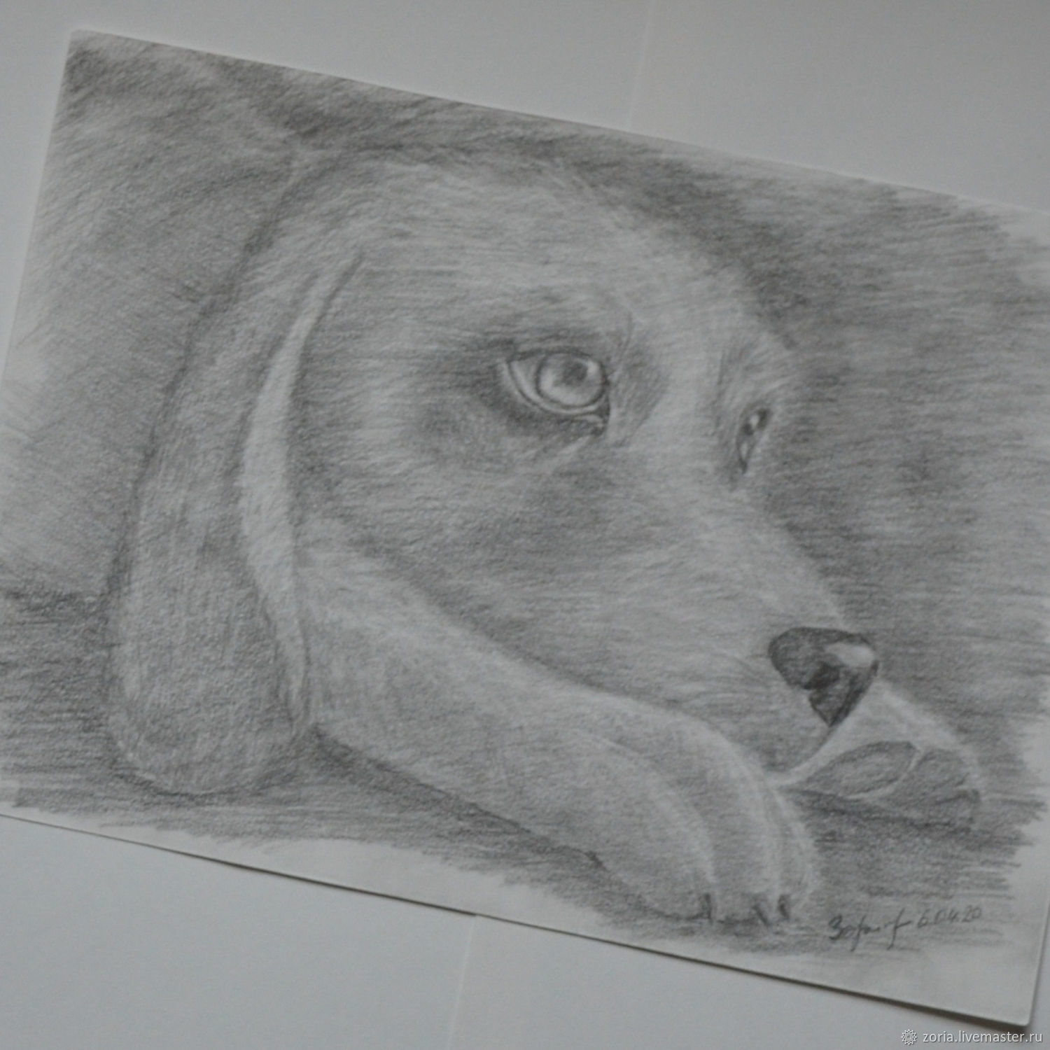 Собака у стола рисунок карандашом