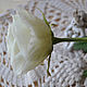 Белая роза из холодного фарфора. Цветы. Радуга подарков Ирина. Интернет-магазин Ярмарка Мастеров.  Фото №2