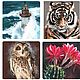  Color prints from the author's works. Print. Giclee. Pictures. Valeria Akulova ART. My Livemaster. Фото №5