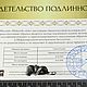 Купить метеорит, Оберег из Сихотэ Алинь метеорита Посох Асклепия. Оберег. MeteoritеStyle. Ярмарка Мастеров.  Фото №6