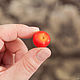 tomato. Miniature figurines. Romanycheva Natalia. Online shopping on My Livemaster.  Фото №2