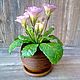 Primula-primrose from polymer clay, Composition, Orel,  Фото №1