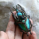 Brooch-pin: ' Goliath ' beetle, insect, modern. Brooches. House Of The Moon Dew. My Livemaster. Фото №5