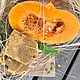 Заказать Pumpkin soap natural with cinnamon. Solar Soap. Ярмарка Мастеров. . Soap Фото №3