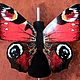 Крылья бабочки "Павлиний глаз", Карнавальный костюм, Новосибирск,  Фото №1