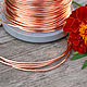 1,2 mm; copper wire, Wire, Moscow,  Фото №1