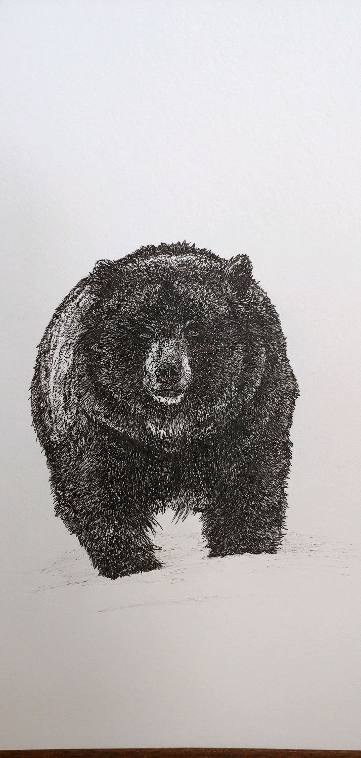 Рисунок Медведь, Картины, Москва,  Фото №1