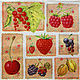 «Садовые ягоды 2» 357
