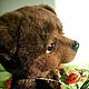 bear SWEETHEART. Stuffed Toys. ZOYA KHOLINA. My Livemaster. Фото №4