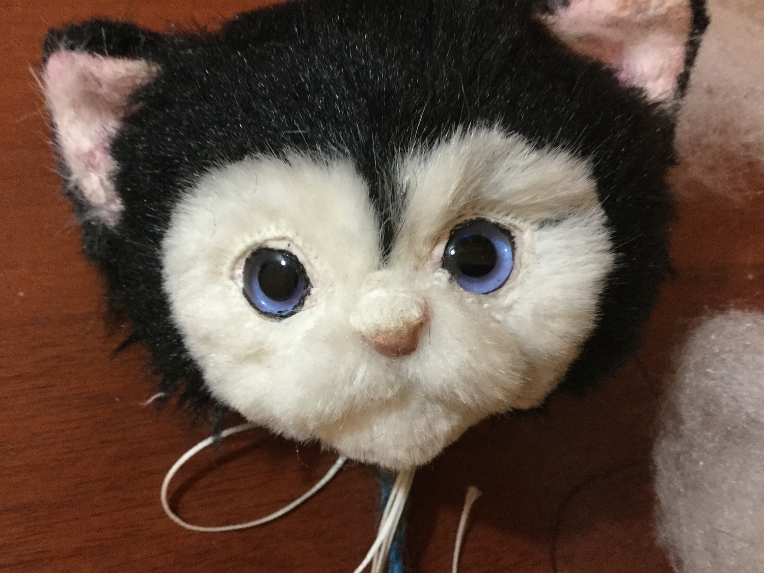 Котёнок. Процесс. 
