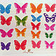 Бабочки полупрозрачные. Разноцветные, 18 штук, Элементы интерьера, Санкт-Петербург,  Фото №1