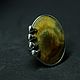 Ring with tiger eye 'Africa', silver. Rings. EdGems jewerly. My Livemaster. Фото №4