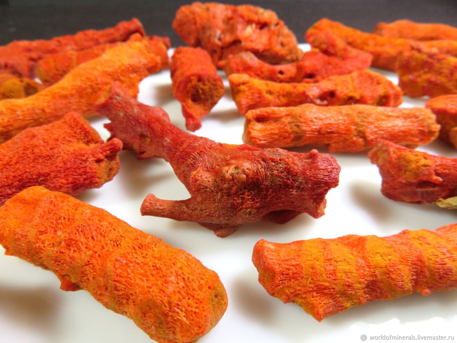 Коралл красный губчатый (Индонезия) купить в интернет-магазине Ярмарка ...