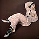 Miniature: Moon Pierrot, Pictures, Moscow,  Фото №1