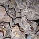 Мирра смола  Сомали, Commiphora myrrha, 10 грамм. Благовония. Уд и Агаровое дерево. Ярмарка Мастеров.  Фото №5
