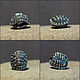 Turtle shell charm, Charm Pendant, Vladivostok,  Фото №1