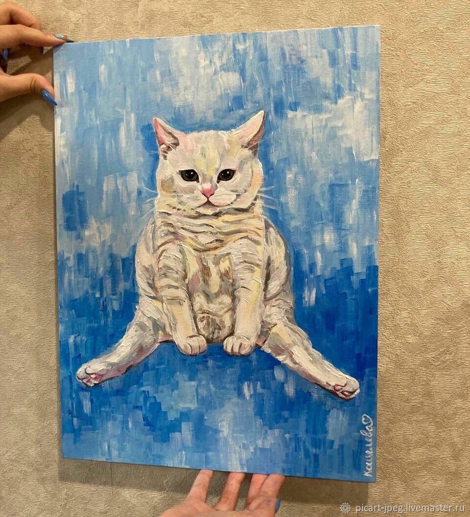 Толстенький котик фото