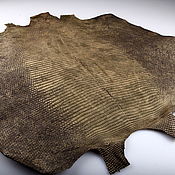 Материалы для творчества handmade. Livemaster - original item Lizard skin, abdominal part of the skin, width 39-41cm IMR2005VJ. Handmade.