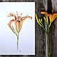 Watercolor painting 'Lily'. Pictures. Svekla_art. Online shopping on My Livemaster.  Фото №2