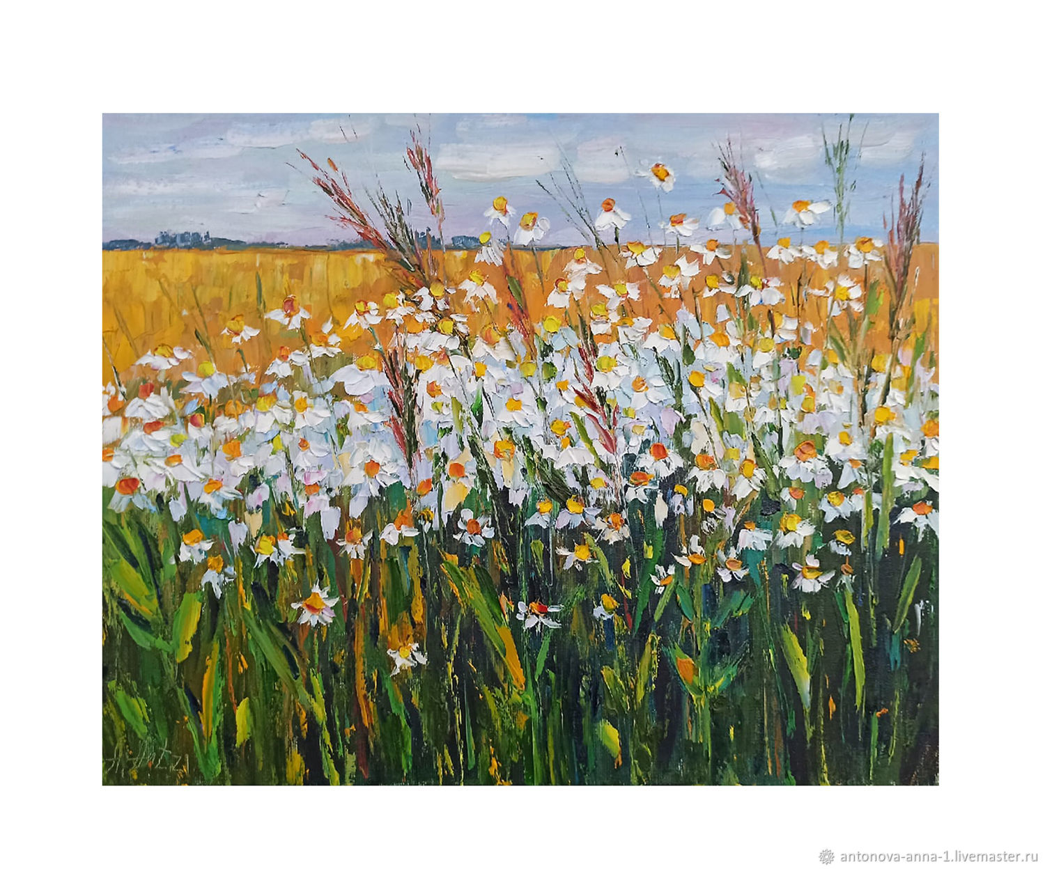 Картина ромашки поле с цветами маслом полевые цветы на холсте 35х45 см –заказать на Ярмарке Мастеров – Q040ORU