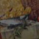 Набор для кухни Полдень в Тоскане. Кухонные наборы. Мастерская декора ЛЕПОТА. Интернет-магазин Ярмарка Мастеров.  Фото №2