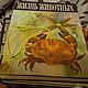 Заказать Винтаж: Жизнь животных. В шести томах (семи книгах). 1968-1971. Antik-msk. Ярмарка Мастеров. . Книги винтажные Фото №3