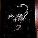 Картина стразами, знак зодиака "Скорпион", Фотокартины, Москва,  Фото №1