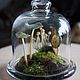 Small cloche with florarium, Florariums, Moscow,  Фото №1