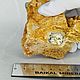 Заказать Кристаллы апатита в породе №10 Слюдянка. Байкал Минерал (bajkalmineral). Ярмарка Мастеров. . Кристалл Фото №3