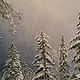 The author's picture of Winter in the mountains of Sochi.( Vladimir Tarasov). Pictures. Vladimir Tarasov. Online shopping on My Livemaster.  Фото №2