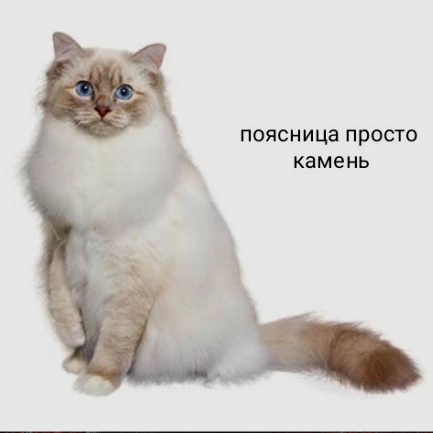 а это жизнь!