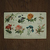 Винтаж handmade. Livemaster - original item Postcard language of flowers. Handmade.